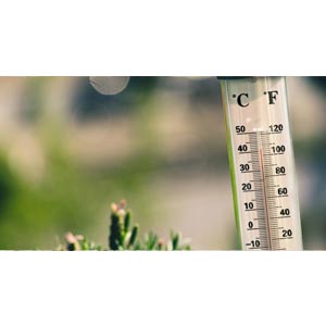 Minimum Thermometers